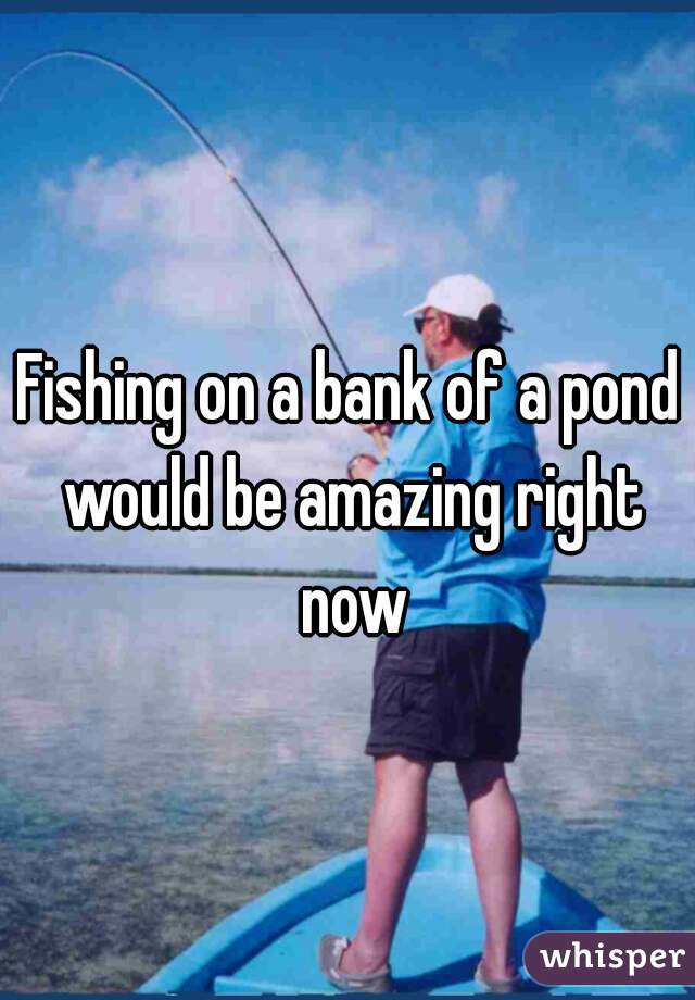 Fishing on a bank of a pond would be amazing right now