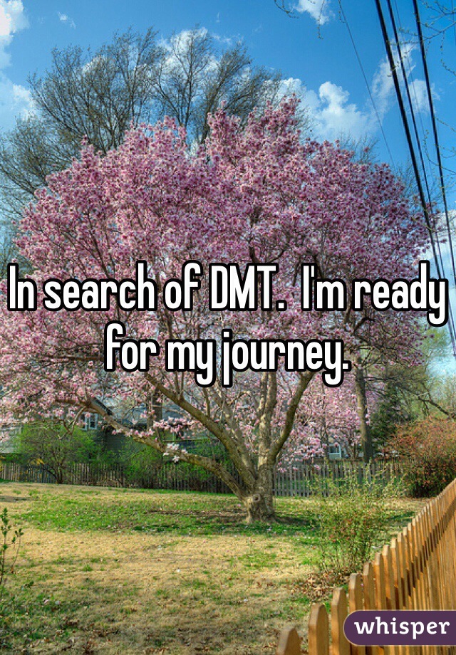 In search of DMT.  I'm ready for my journey.