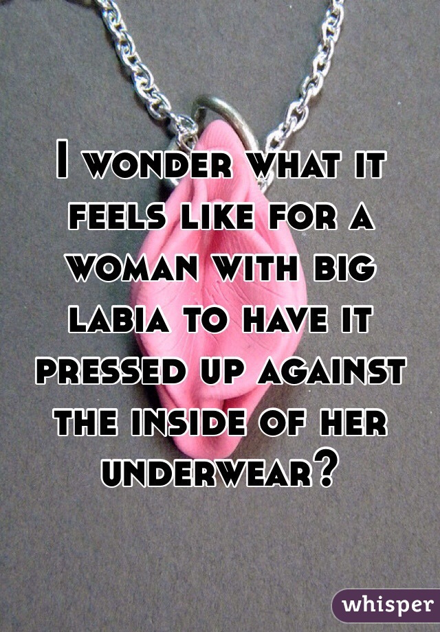 I wonder what it feels like for a woman with big labia to have it pressed up against the inside of her underwear?