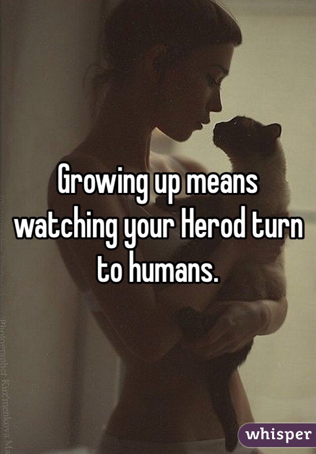 Growing up means watching your Herod turn to humans. 