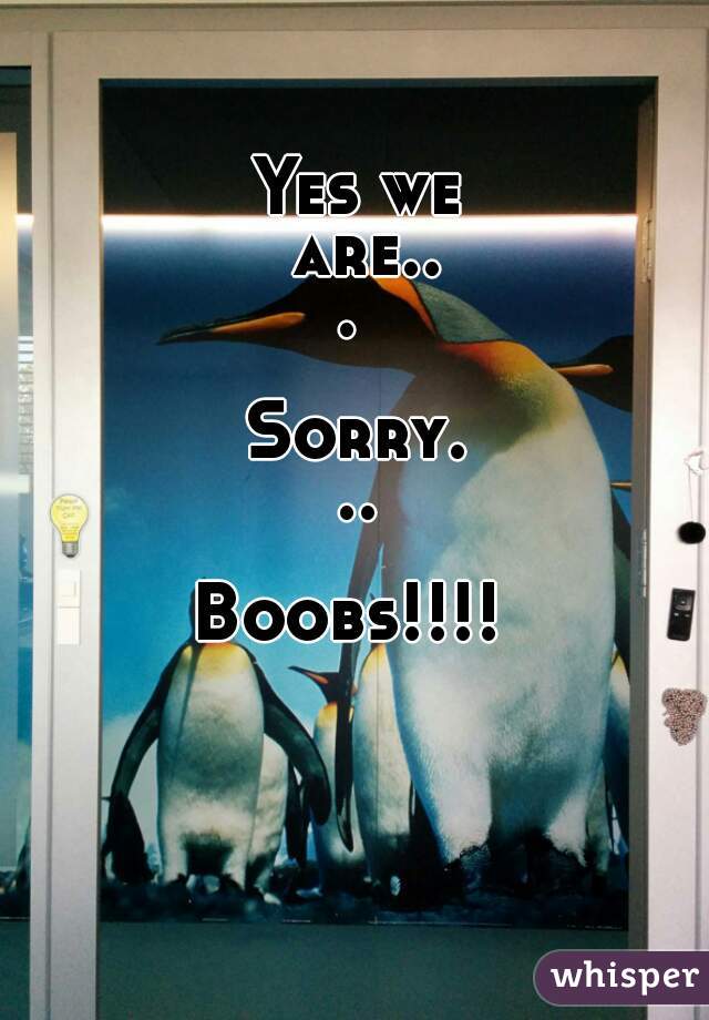 Yes we are... 

Sorry...

Boobs!!!! 