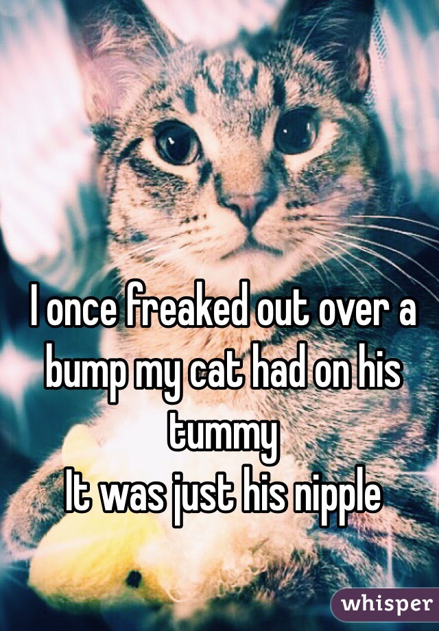 I once freaked out over a bump my cat had on his tummy
It was just his nipple