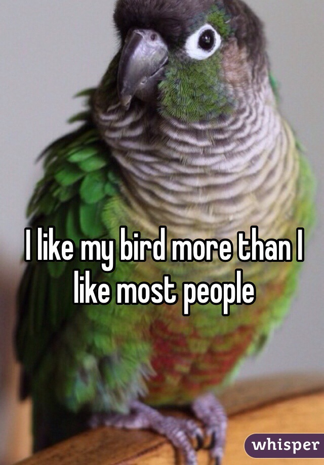 I like my bird more than I like most people