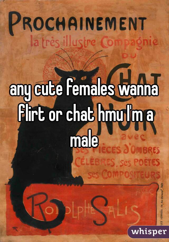 any cute females wanna flirt or chat hmu I'm a male 