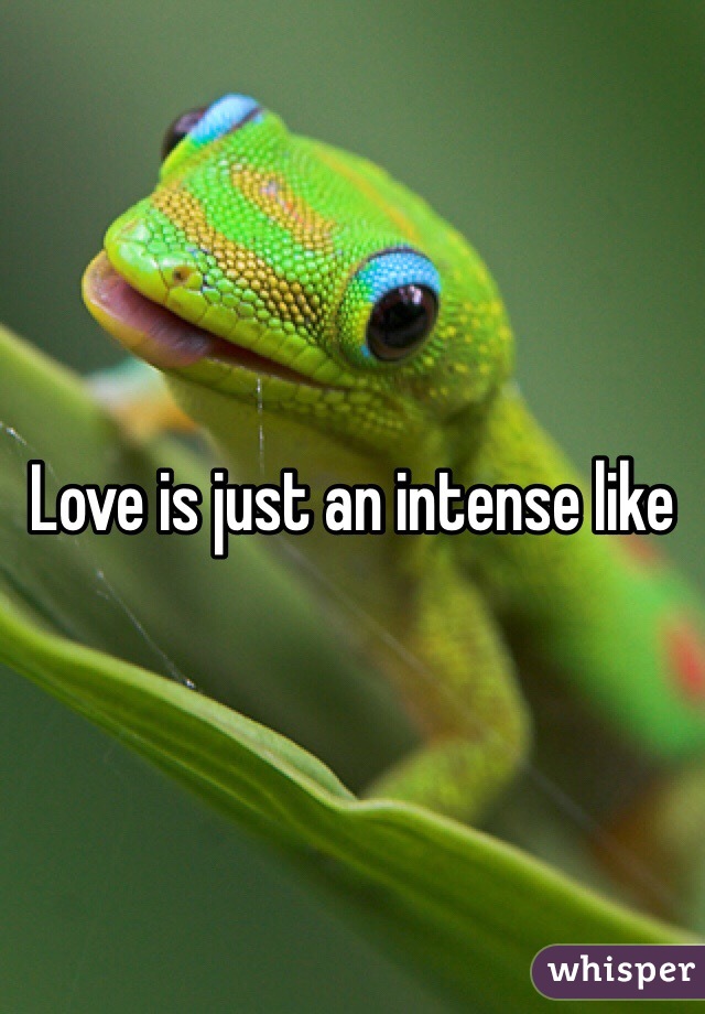 Love is just an intense like