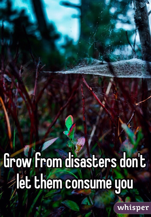 Grow from disasters don't let them consume you