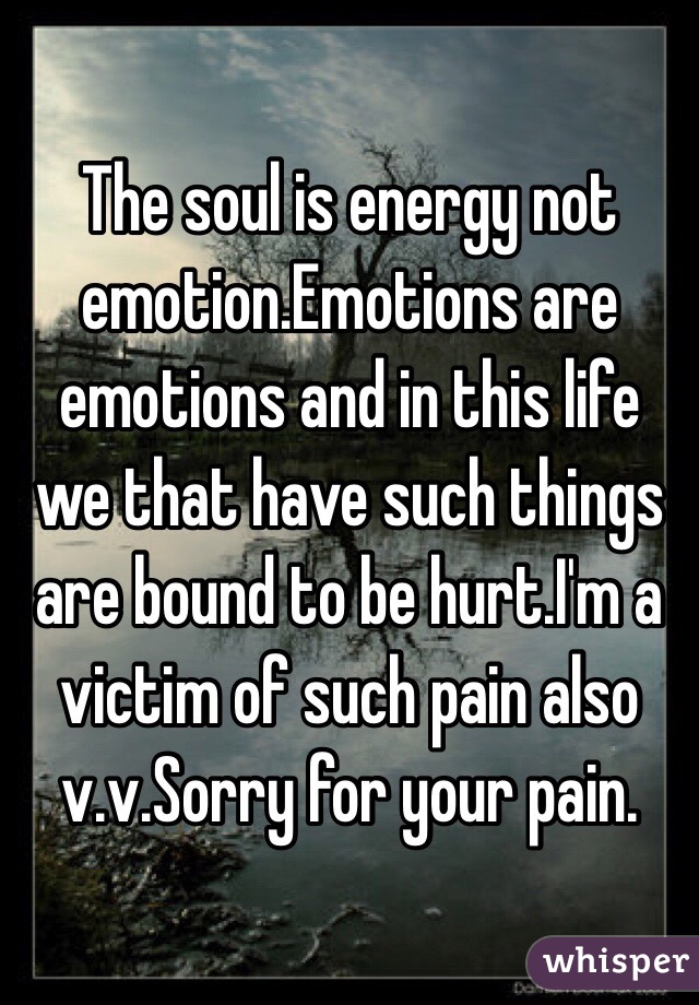 The soul is energy not emotion.Emotions are emotions and in this life we that have such things are bound to be hurt.I'm a victim of such pain also v.v.Sorry for your pain.