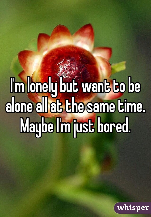 I'm lonely but want to be alone all at the same time.  Maybe I'm just bored. 