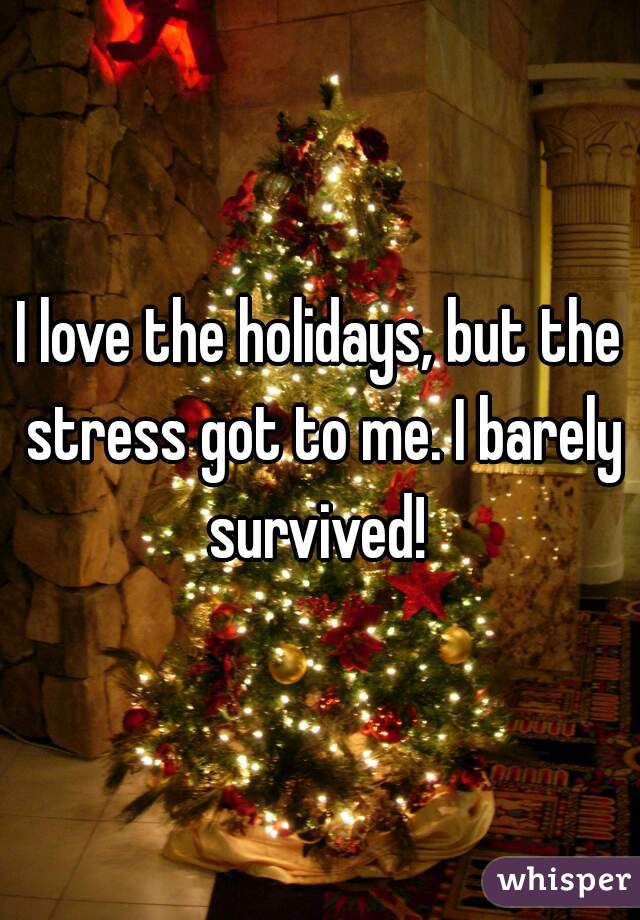 I love the holidays, but the stress got to me. I barely survived! 