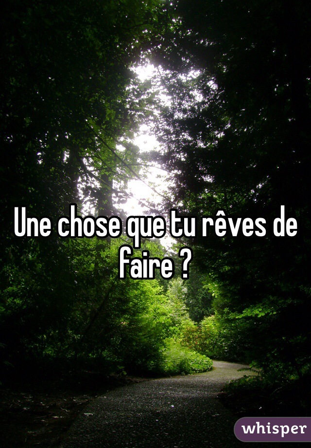 Une chose que tu rêves de faire ?