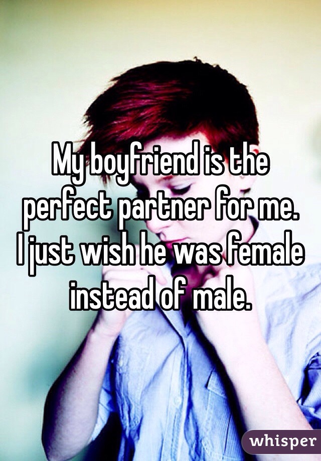 My boyfriend is the perfect partner for me. 
I just wish he was female instead of male. 