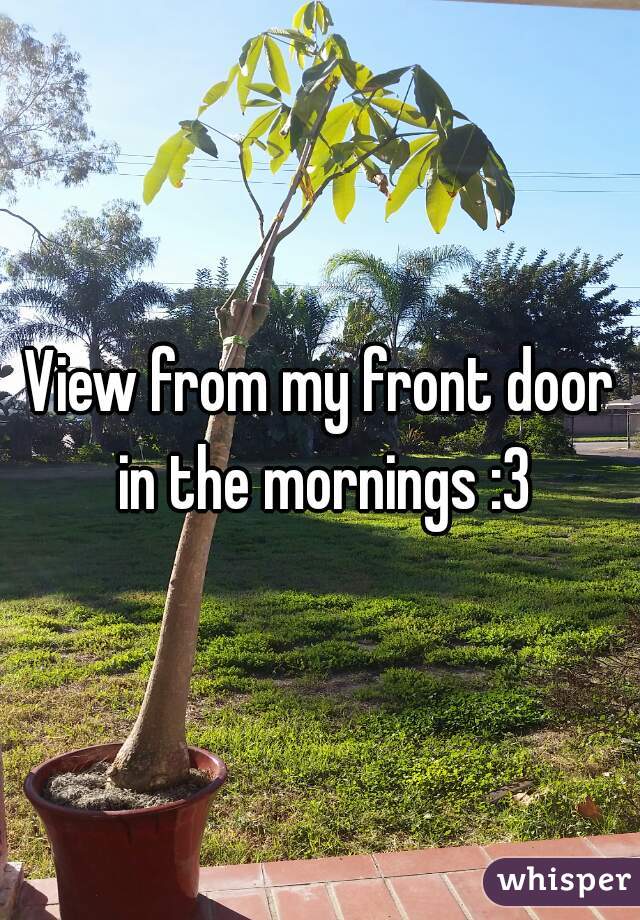 View from my front door in the mornings :3