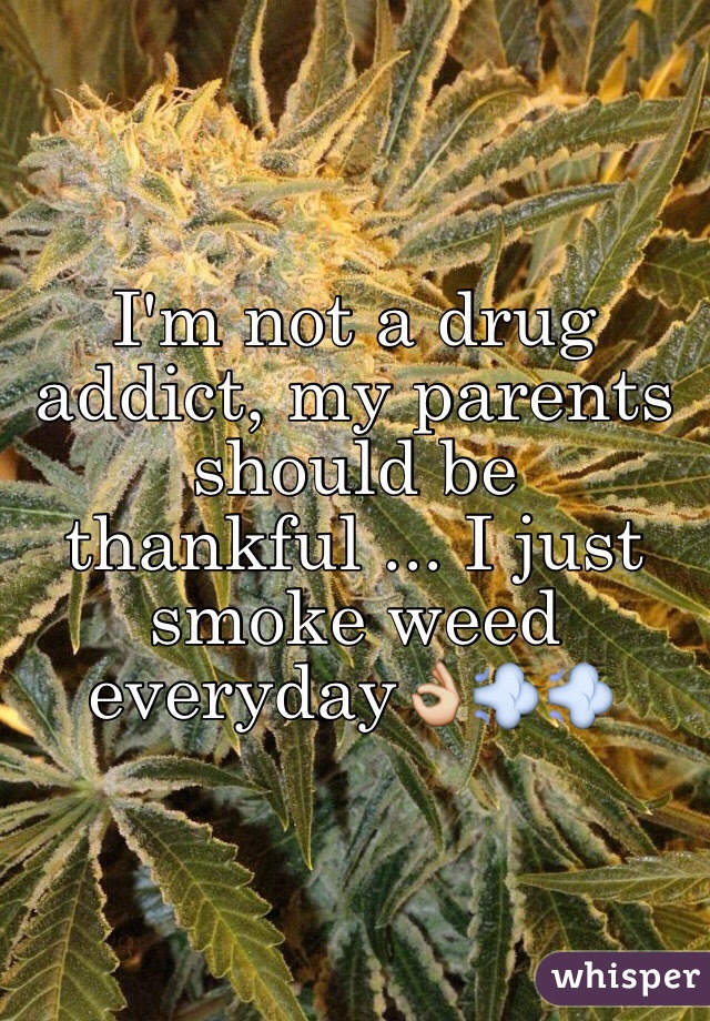 I'm not a drug addict, my parents should be thankful ... I just smoke weed everyday👌💨💨