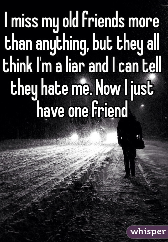 I miss my old friends more than anything, but they all think I'm a liar and I can tell they hate me. Now I just have one friend 