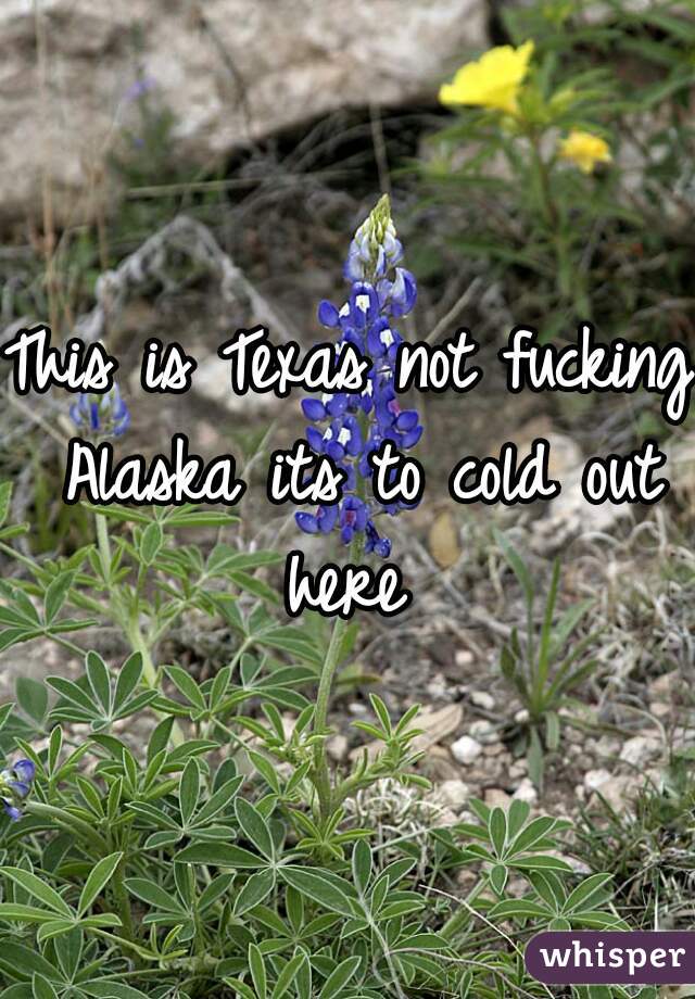 This is Texas not fucking Alaska its to cold out here 