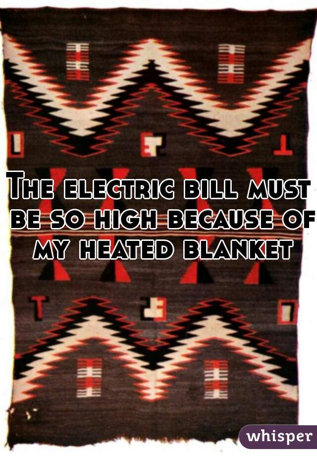 The electric bill must be so high because of my heated blanket