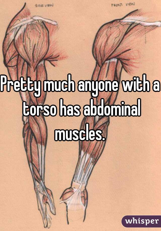 Pretty much anyone with a torso has abdominal muscles. 