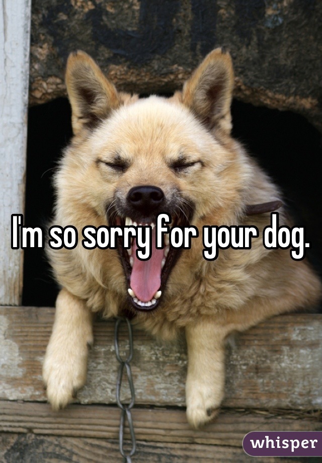 I'm so sorry for your dog. 