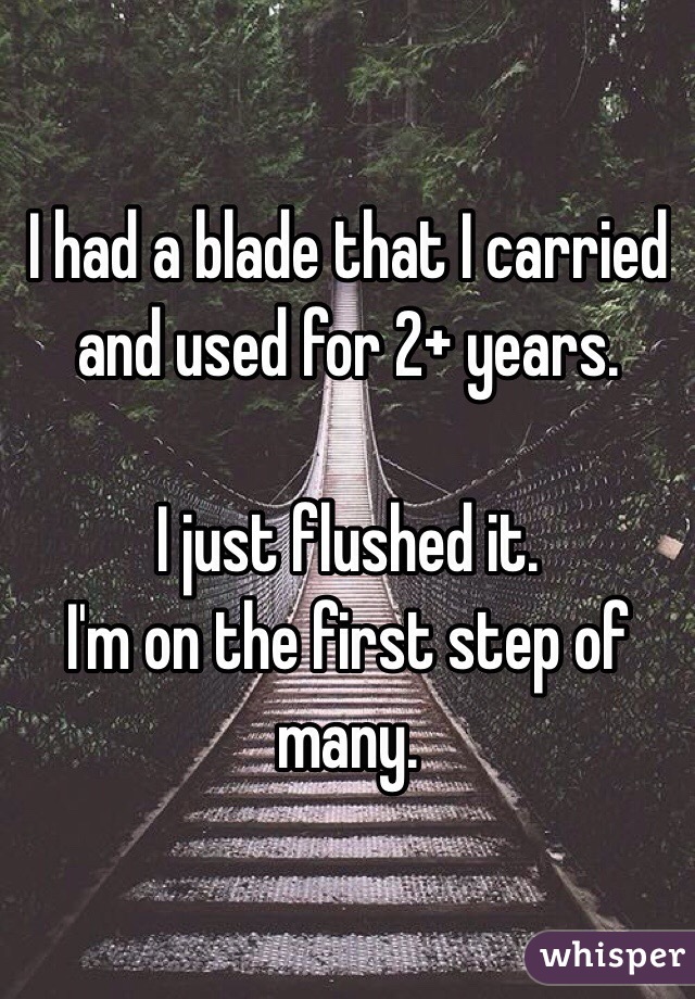 I had a blade that I carried and used for 2+ years. 

I just flushed it. 
I'm on the first step of many. 