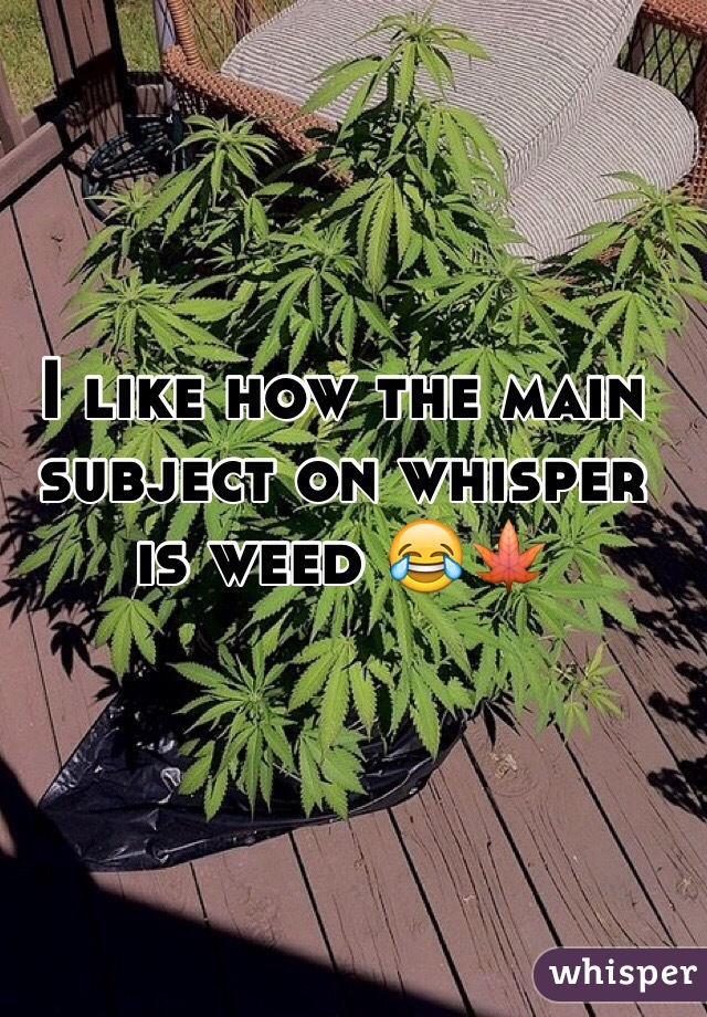 I like how the main subject on whisper is weed 😂🍁