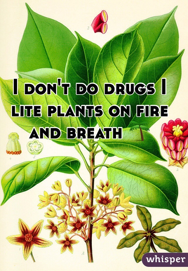 I don't do drugs I lite plants on fire and breath 🌴