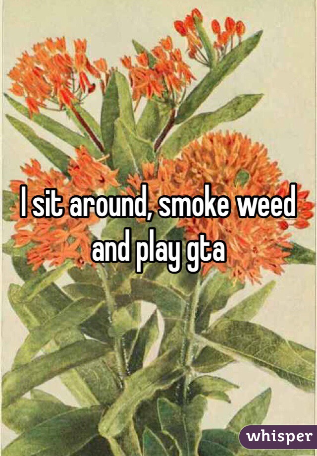 I sit around, smoke weed and play gta 