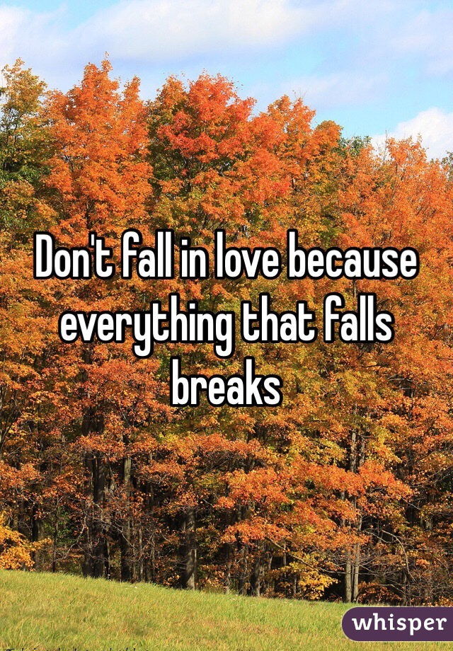 Don't fall in love because everything that falls breaks