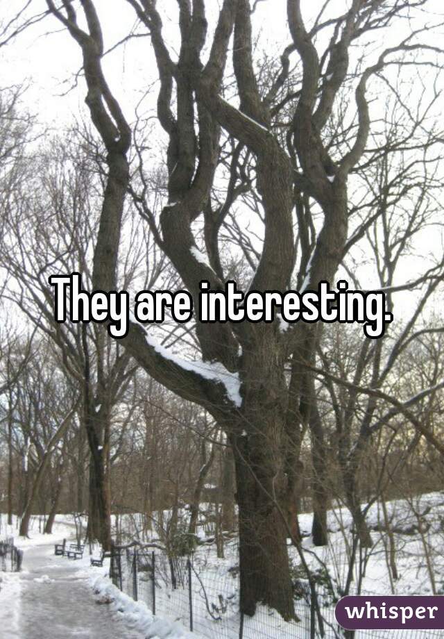 They are interesting.