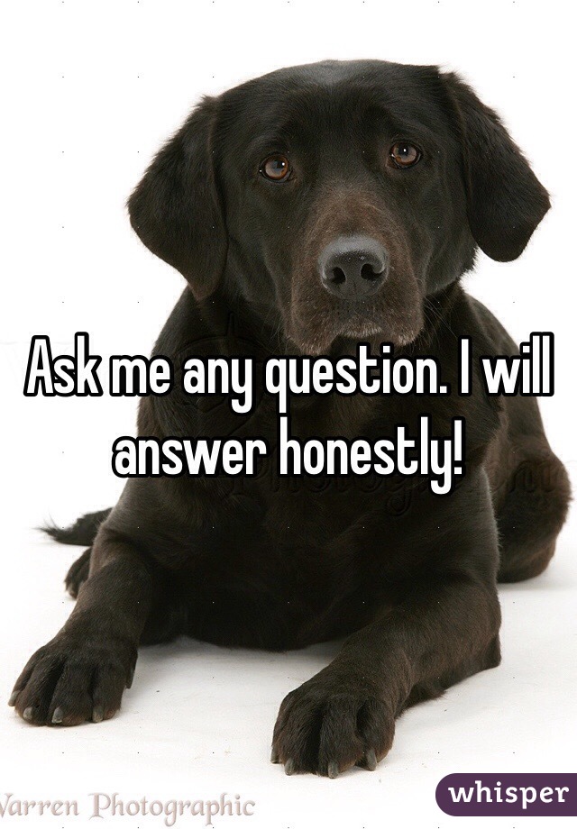 Ask me any question. I will answer honestly!