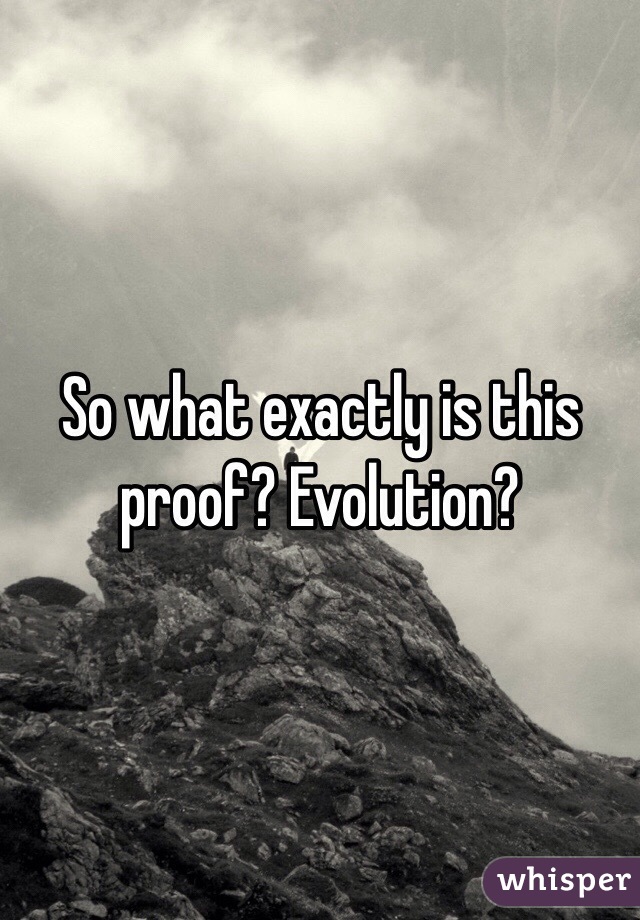 So what exactly is this proof? Evolution?