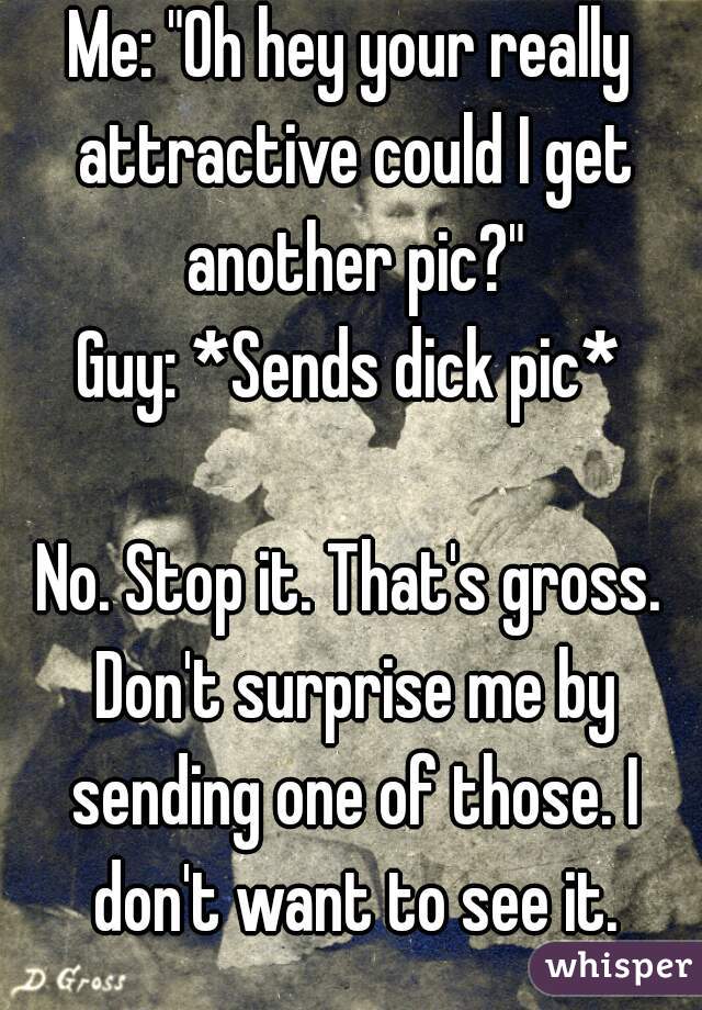 Me: "Oh hey your really attractive could I get another pic?"
Guy: *Sends dick pic*

No. Stop it. That's gross. Don't surprise me by sending one of those. I don't want to see it.