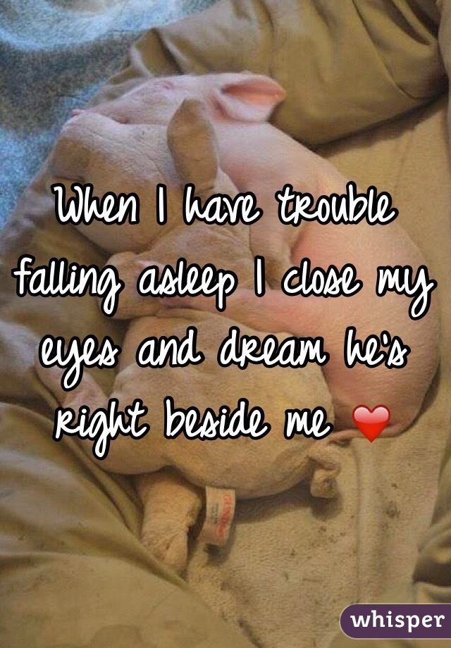 When I have trouble falling asleep I close my eyes and dream he's right beside me ❤️