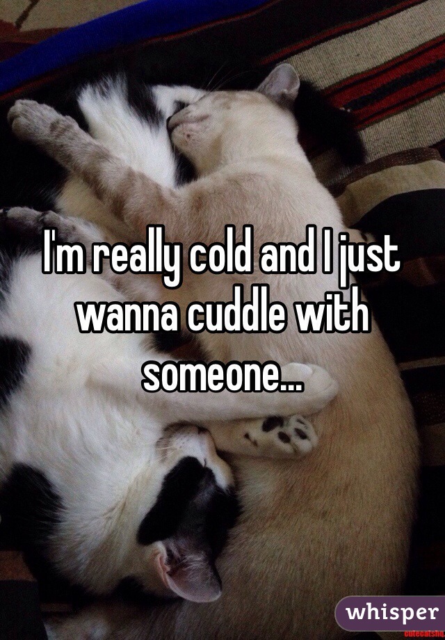 I'm really cold and I just wanna cuddle with someone...