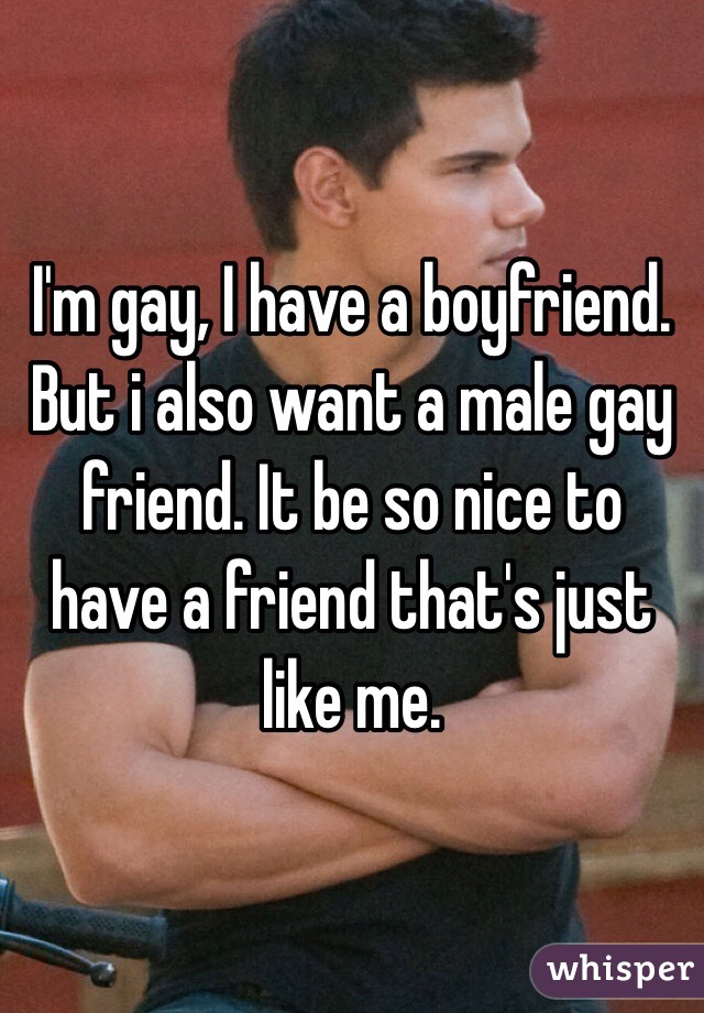 I'm gay, I have a boyfriend. But i also want a male gay friend. It be so nice to have a friend that's just like me.