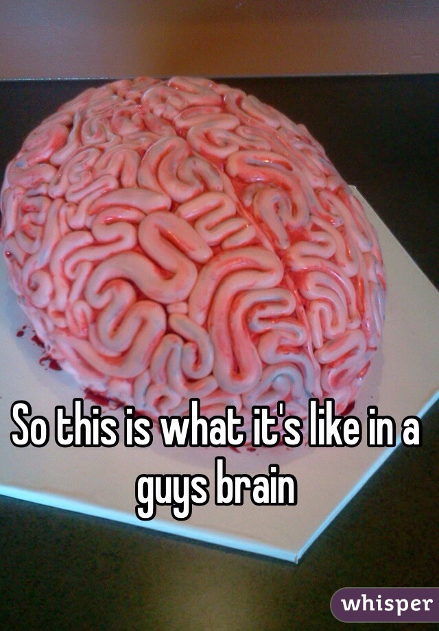 So this is what it's like in a guys brain