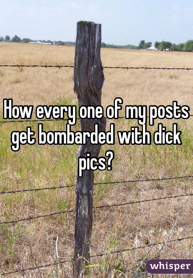 How every one of my posts get bombarded with dick pics?