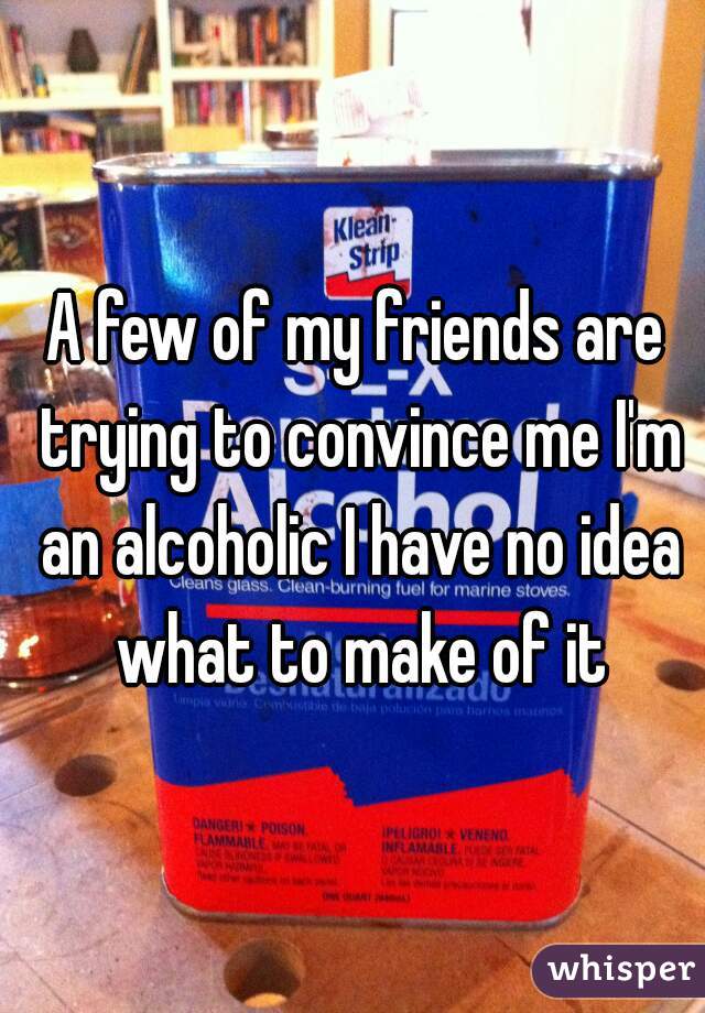 A few of my friends are trying to convince me I'm an alcoholic I have no idea what to make of it