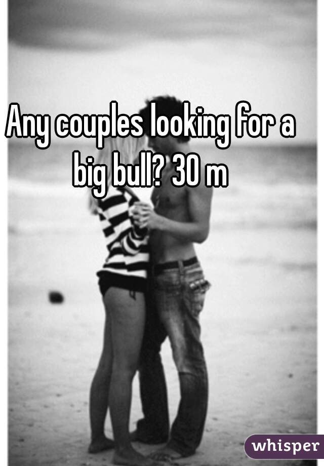 Any couples looking for a big bull? 30 m 