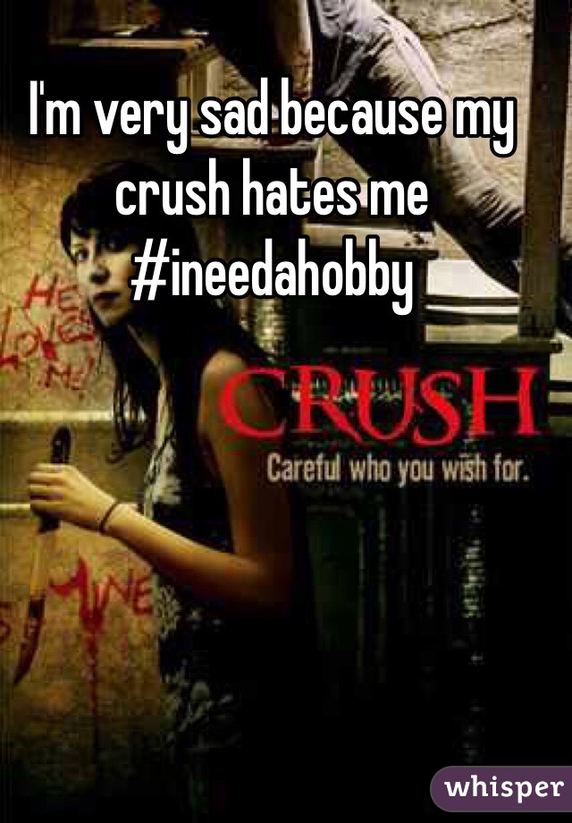 I'm very sad because my crush hates me #ineedahobby