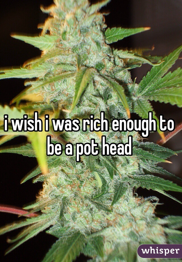 i wish i was rich enough to be a pot head