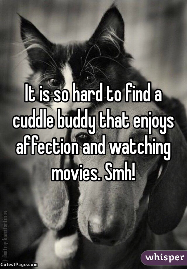 It is so hard to find a cuddle buddy that enjoys affection and watching movies. Smh! 