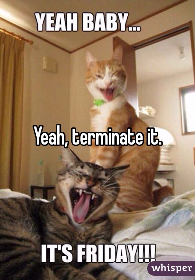 Yeah, terminate it.