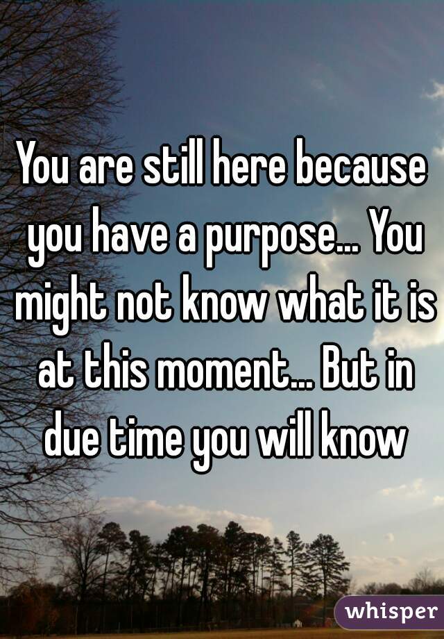 You are still here because you have a purpose... You might not know what it is at this moment... But in due time you will know