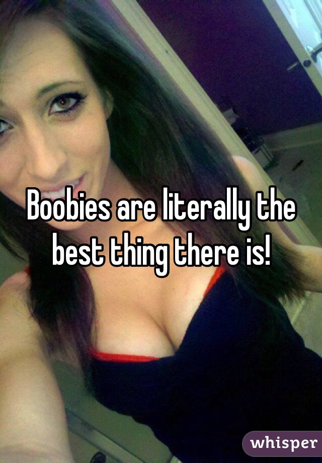 Boobies are literally the best thing there is!