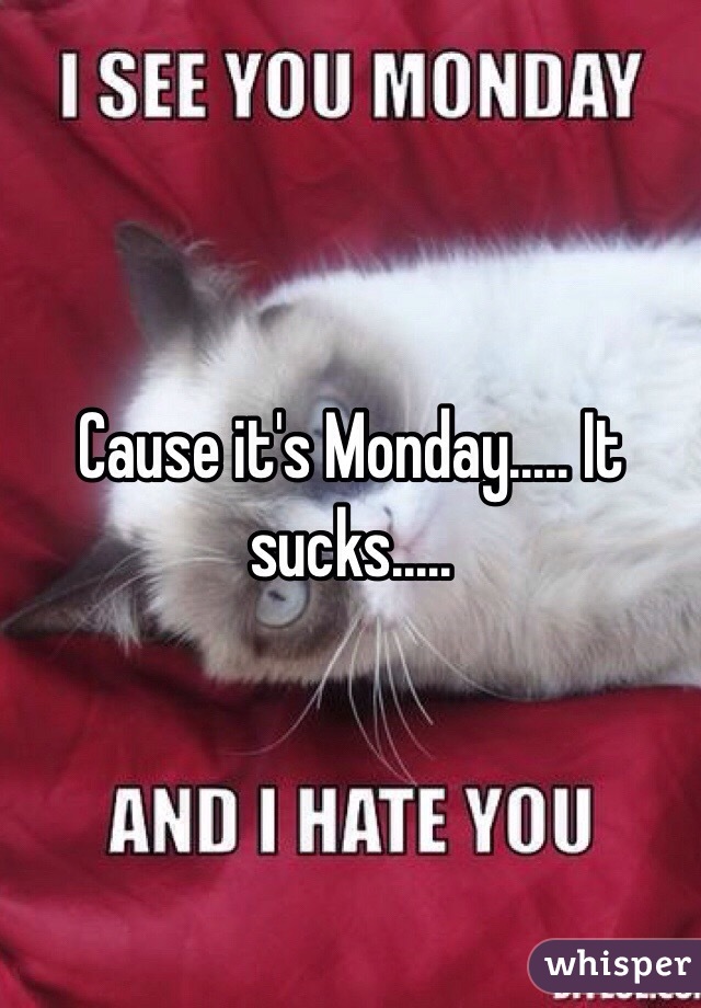 Cause it's Monday..... It sucks.....