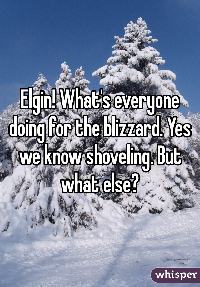 Elgin! What's everyone doing for the blizzard. Yes we know shoveling. But what else?