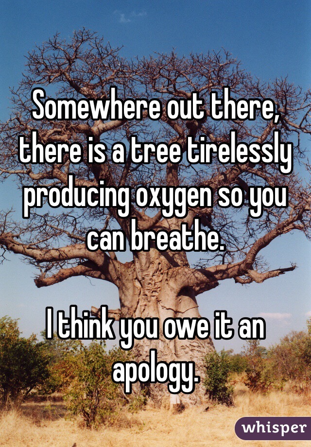 Somewhere out there, there is a tree tirelessly producing oxygen so you can breathe.

I think you owe it an apology.