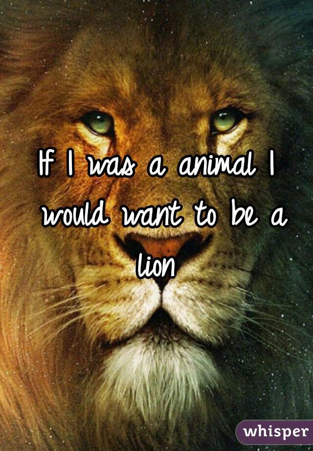 If I was a animal I would want to be a
 lion 