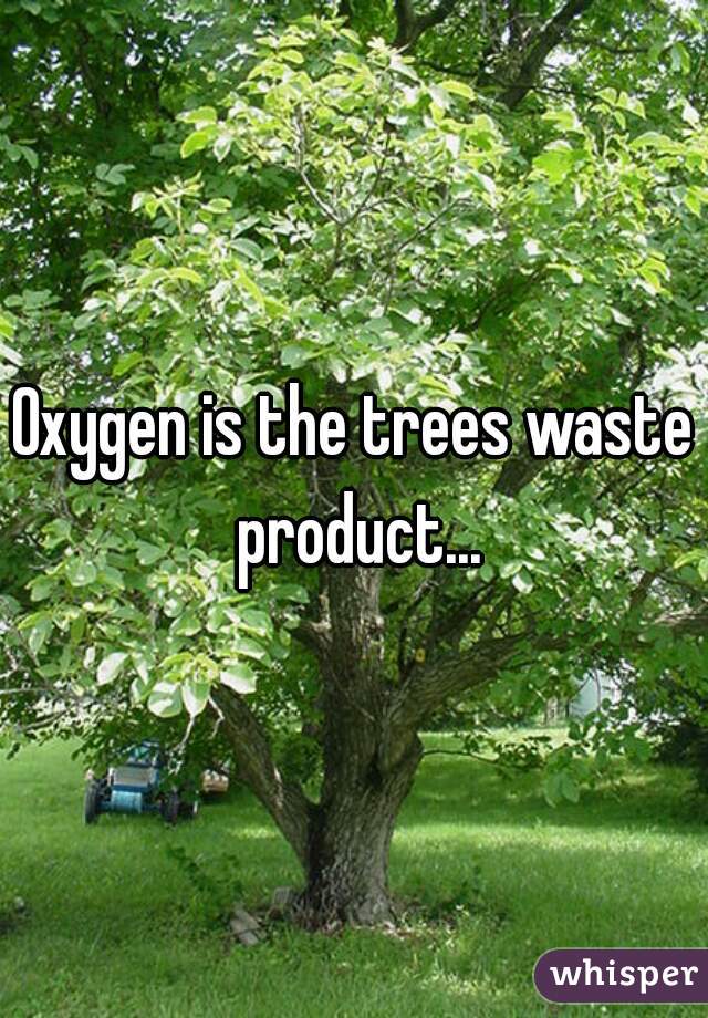 Oxygen is the trees waste product...