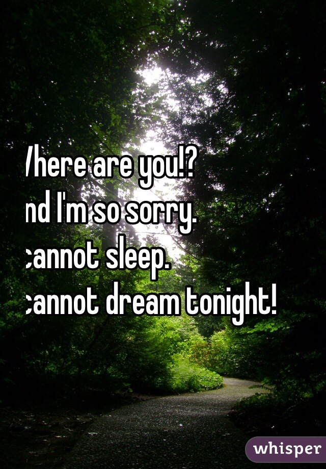 Where are you!? 
And I'm so sorry. 
I cannot sleep. 
I cannot dream tonight!